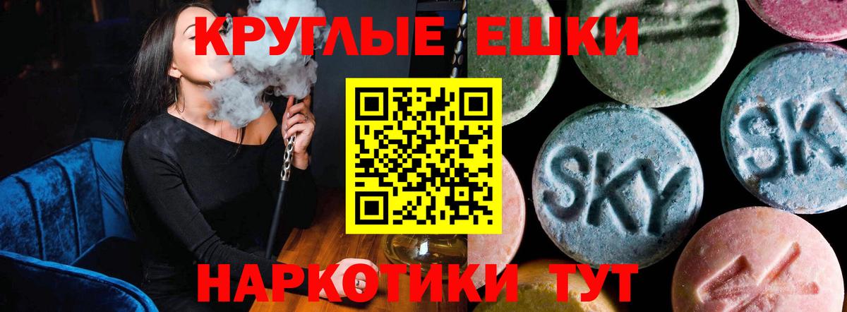 A PVP Камышлов