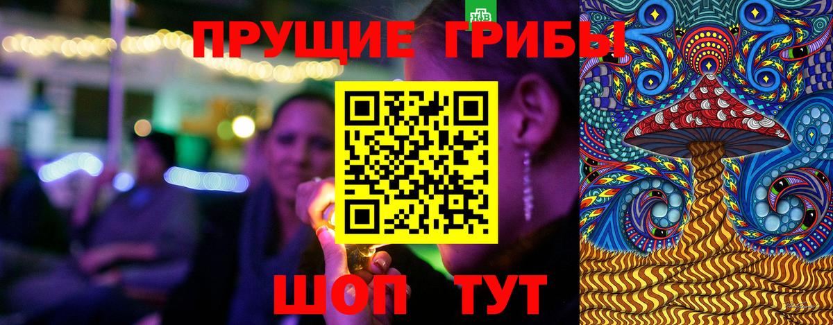 Камышлов  Псилоцибиновые грибы мухоморы  Вход с VPN 